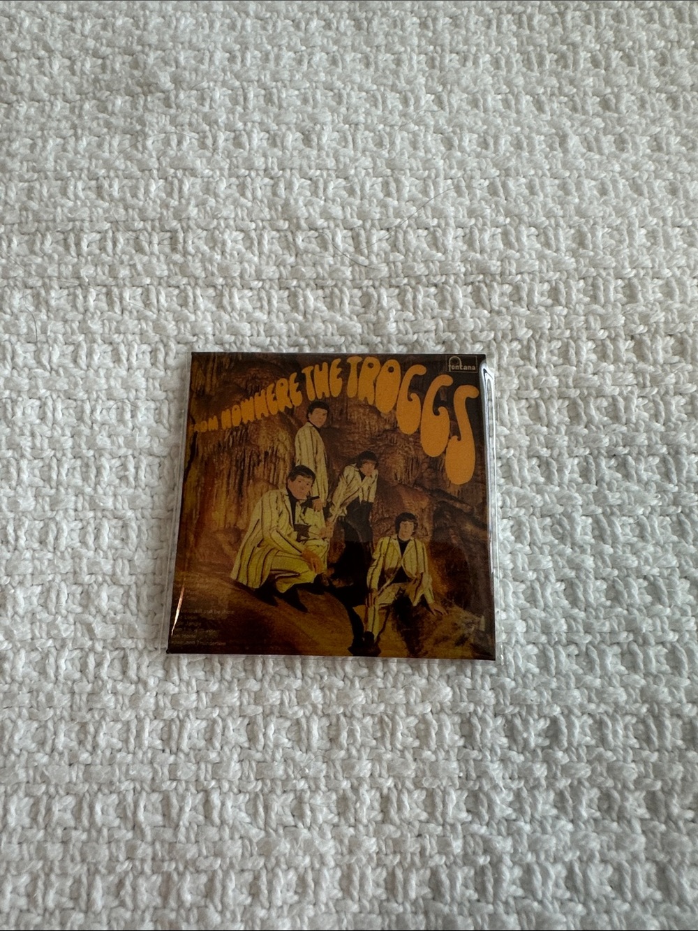 Wild Thing The Troggs Mini Brands Zuru Really Works Vinyl Common